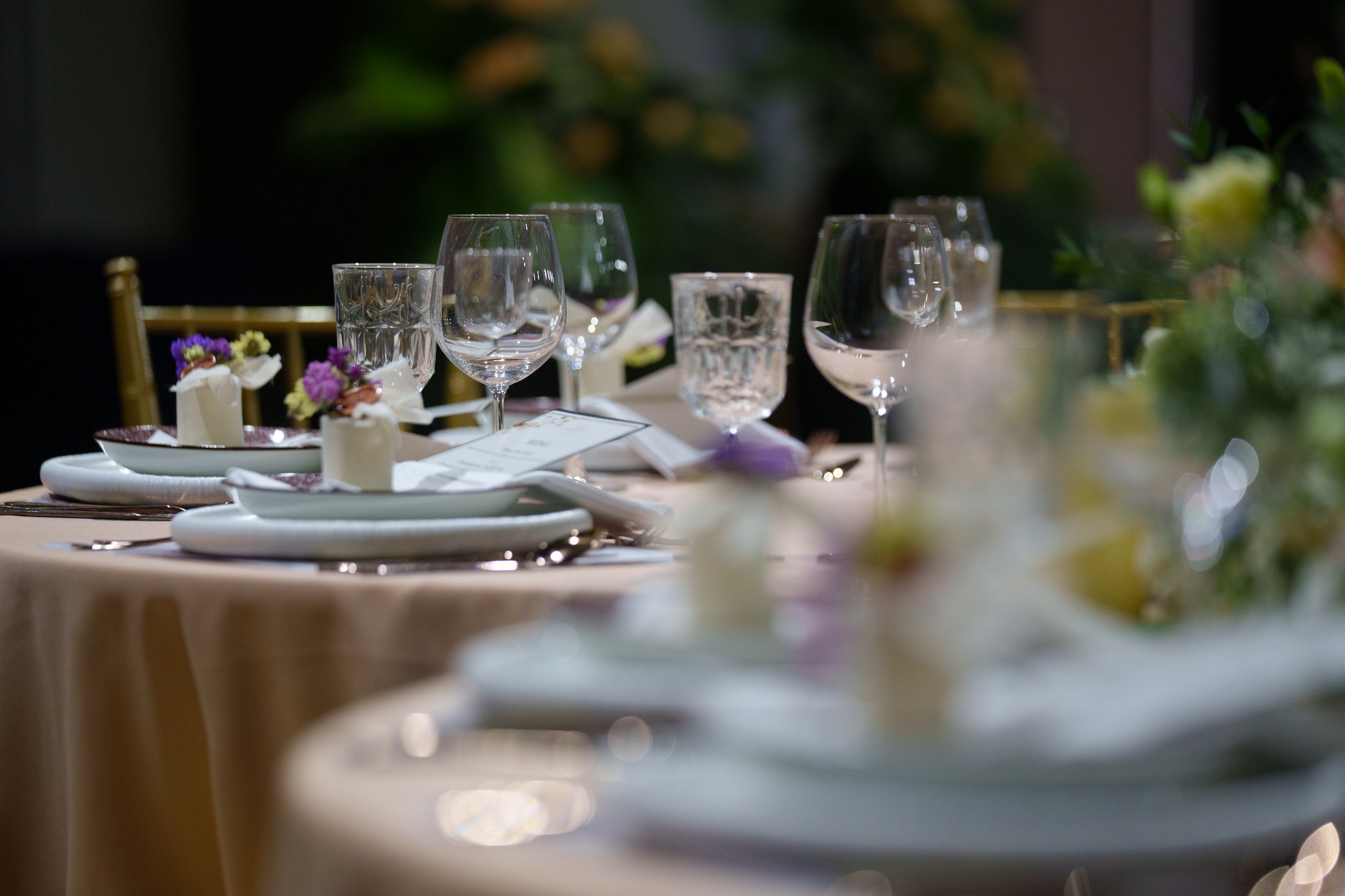 597135333_1433470568789340_3706681217716624602_n